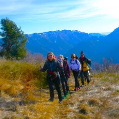 P1170871   Ormai sull  altopiano.  Mt. Borcoletta.